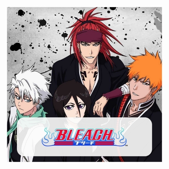 Bleach Puzzles