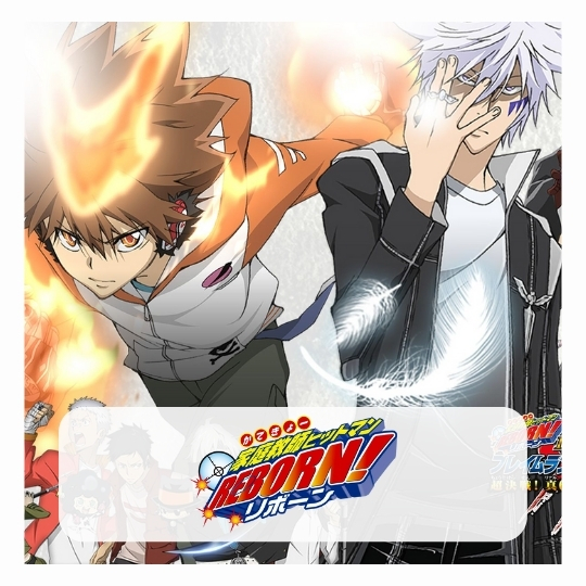 Hitman Reborn Puzzles